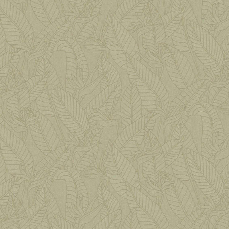 Strelitzia Wallpaper by Arte