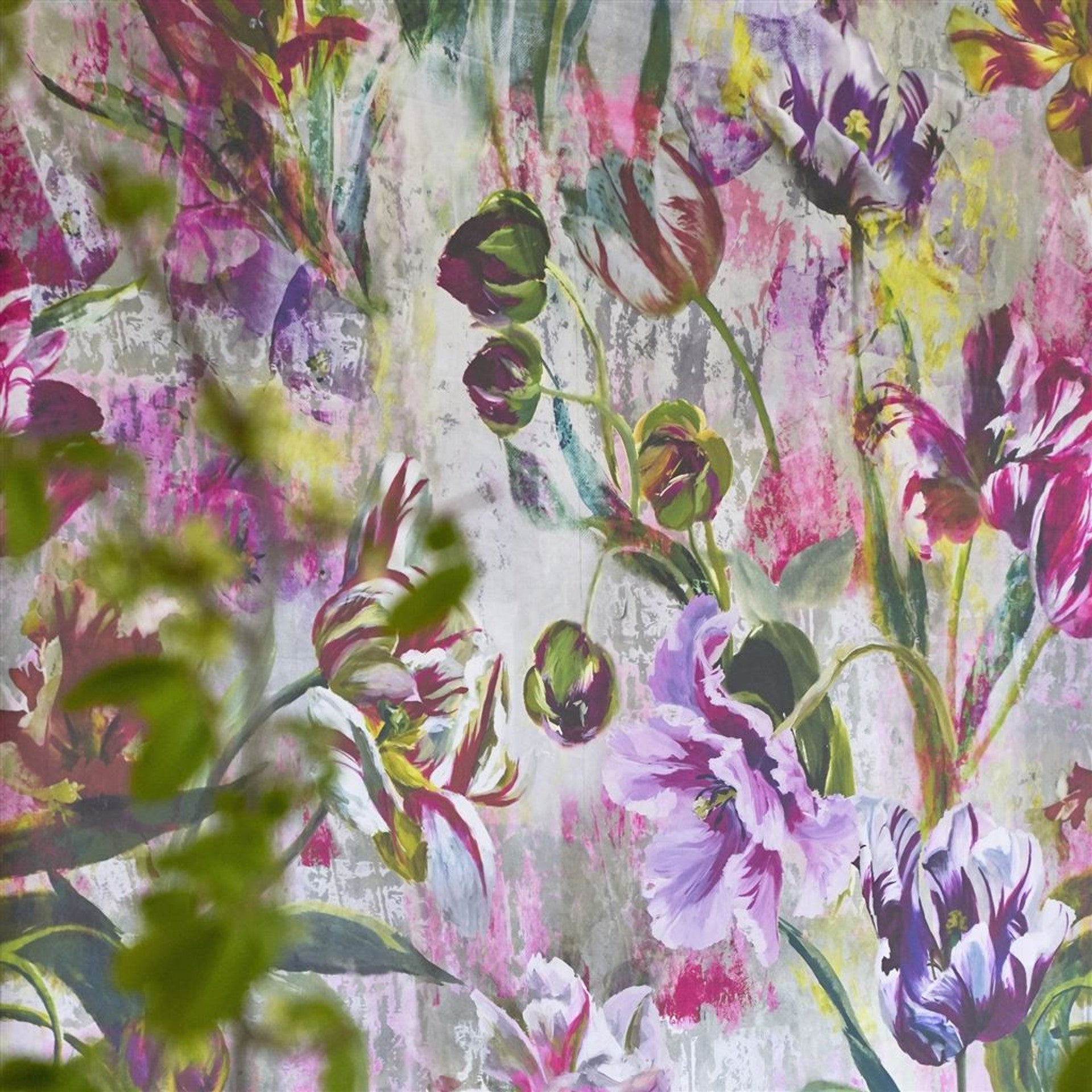 Tulipa Stellata Wallpaper by Designers Guild