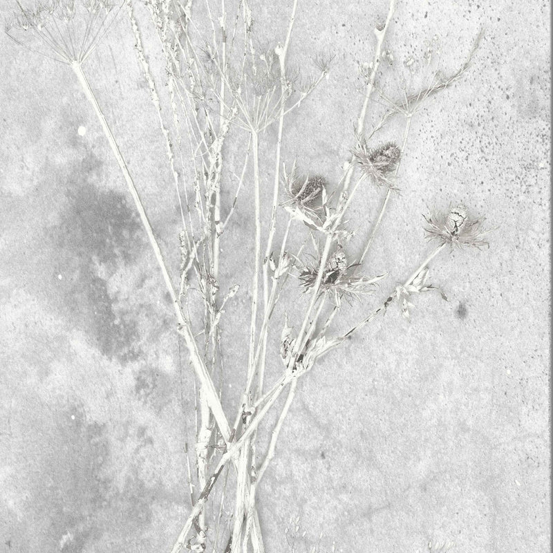 Meraki Concrete Wallpaper by Woodchip & Magnolia