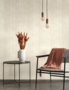 Beton Wallpaper by Casadeco