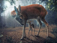 Mother and Fawn Mural by HappyWall