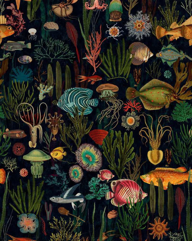 Oceania Wallpaper by Mind The Gap
