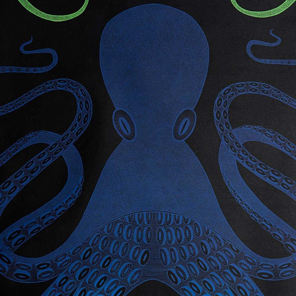 Ombre Octopus Wallpaper by Miss Print