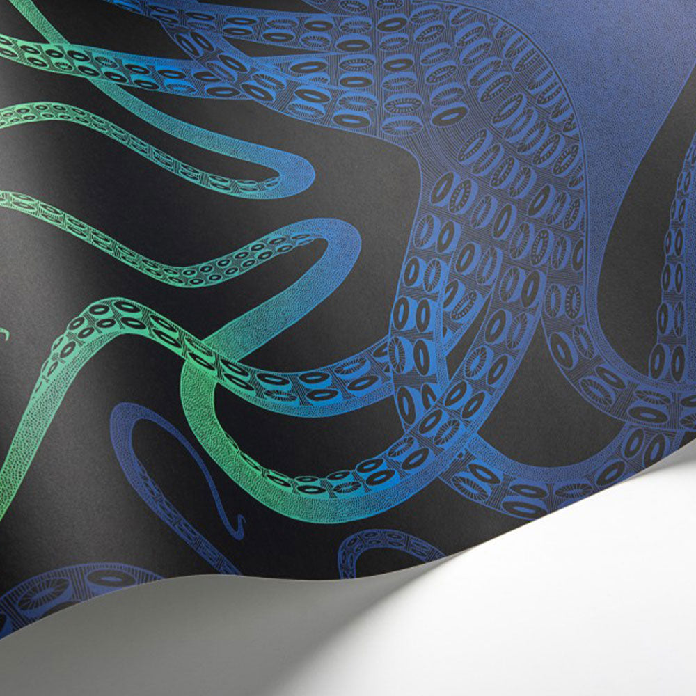 Ombre Octopus Wallpaper by Miss Print