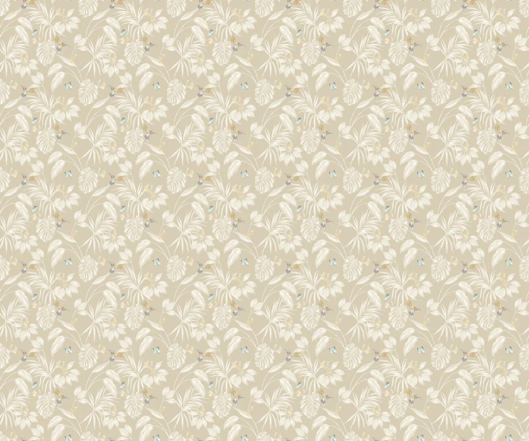 Hummingbird wallpaper by Ohpopsi