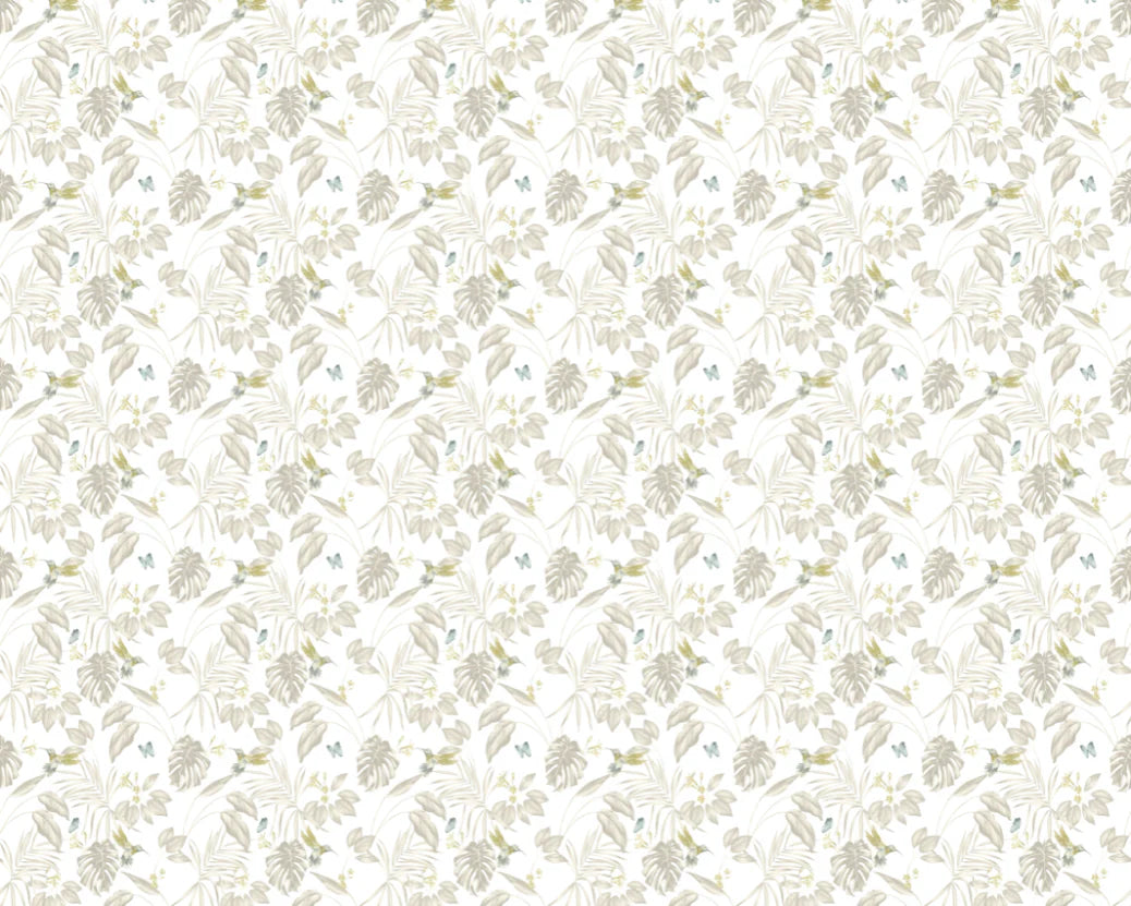 Hummingbird wallpaper by Ohpopsi