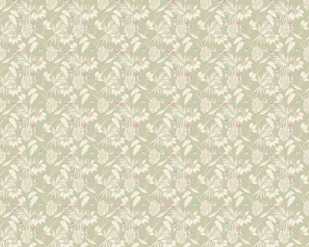 Hummingbird wallpaper by Ohpopsi