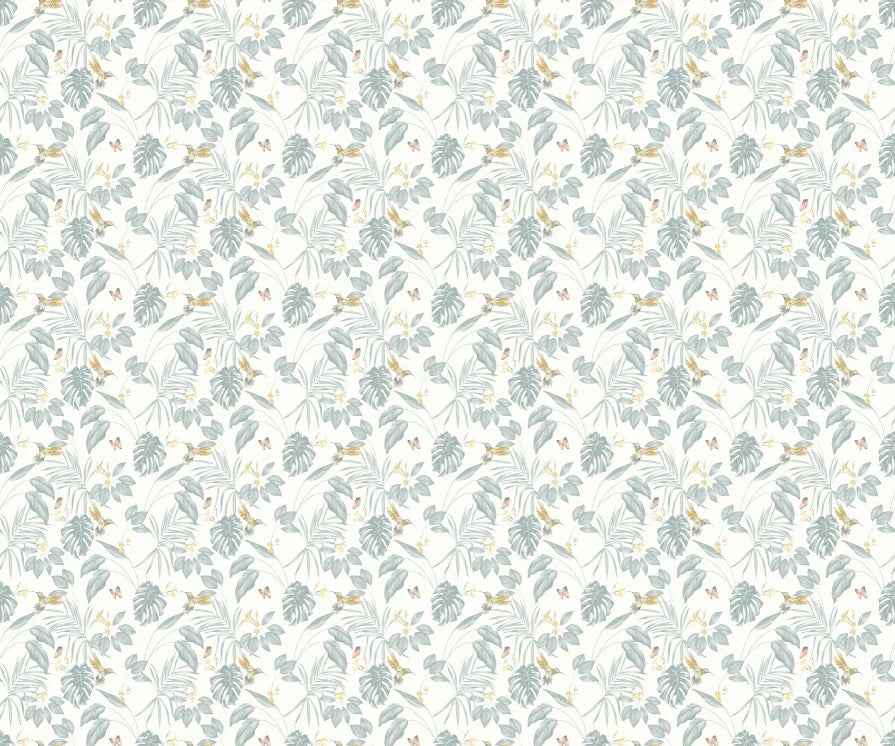 Hummingbird wallpaper by Ohpopsi