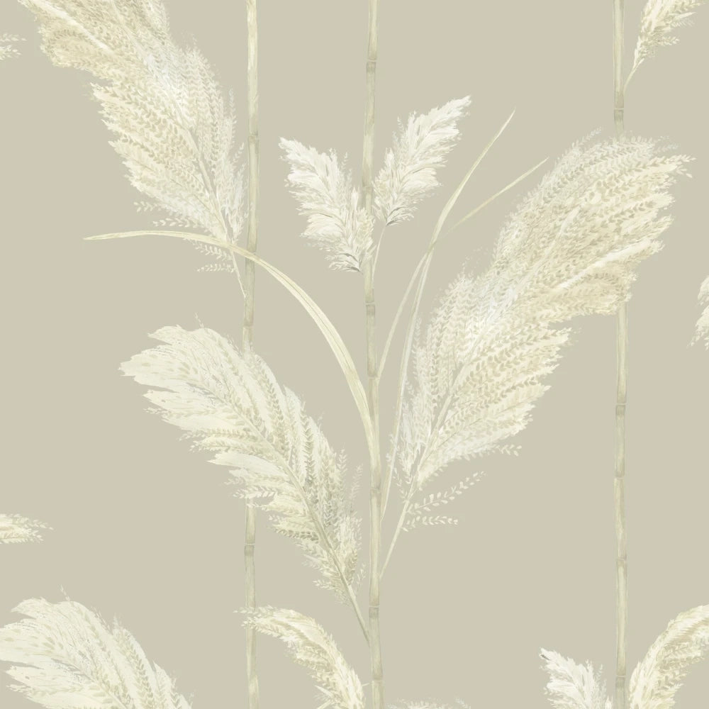 Pampas Grass Wallpaper by Brand McKenzie