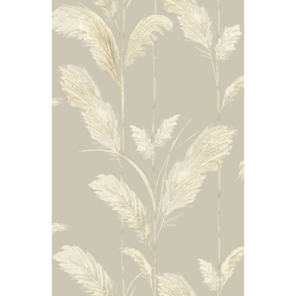 Pampas Grass Wallpaper by Brand McKenzie