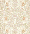 Cochineal Pink