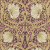 Fig/Sisal