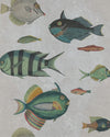 Poissons Wallpaper by Mind The Gap