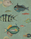 Poissons Wallpaper by Mind The Gap