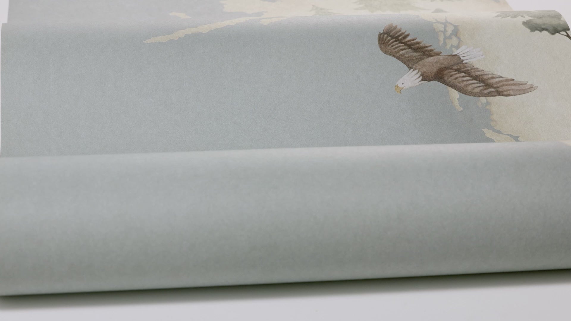 Little Explorer Mural by BoråsTapeter