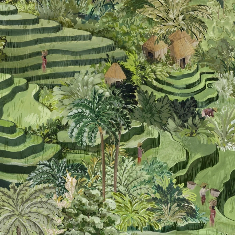 Rice Terrace Max Wallpaper by Brand McKenzie