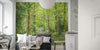 Woodsy Forest