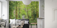 Woodsy Wonder Mural by HappyWall