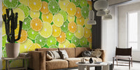 Citrus Fruit Slices Mural by HappyWall