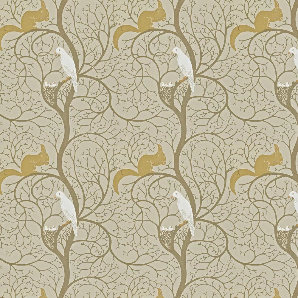 Squirrel & Dove Wallpaper by Sanderson