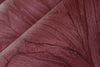 Pianti Wallpaper by Arte