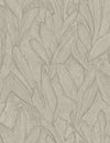 Pianti Wallpaper by Arte