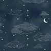 Night Fall