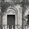 The Architecture Wallpaper by Brand McKenzie