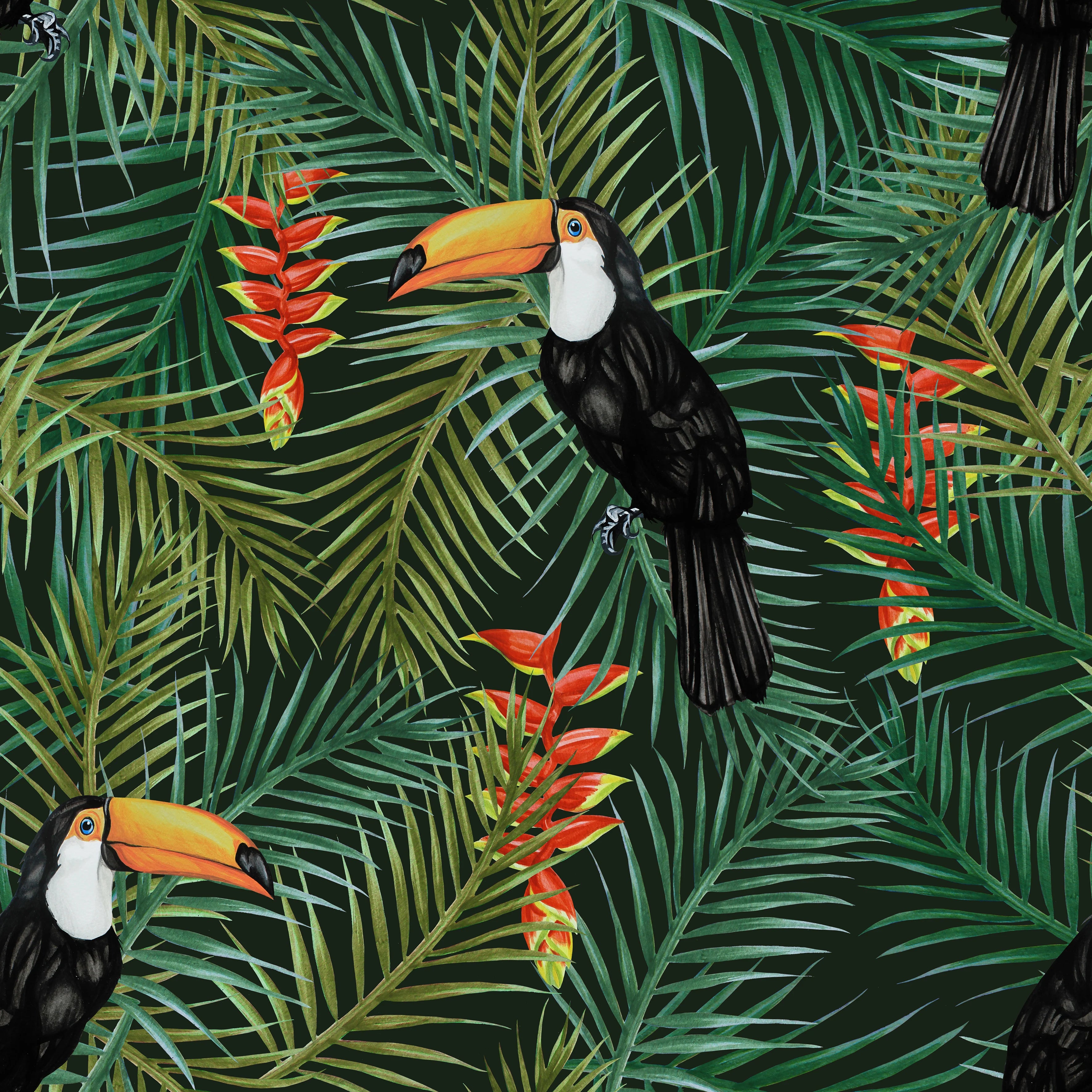 Toucan Wallpaper by Graduate Collection