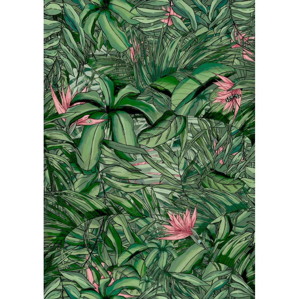 Tropical Forest Wallpaper by Brand McKenzie