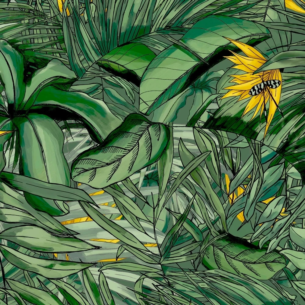 Tropical Forest Wallpaper by Brand McKenzie