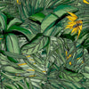 Tropical Forest Wallpaper by Brand McKenzie