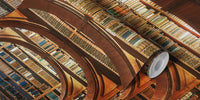 Upper Lausitzian Library of Sciences Mural by HappyWall