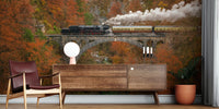 Museum Train Mural by HappyWall