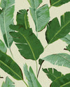 Banana Wallpaper by Mind The Gap