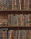 Book Shelves Wallpaper by Mind the Gap