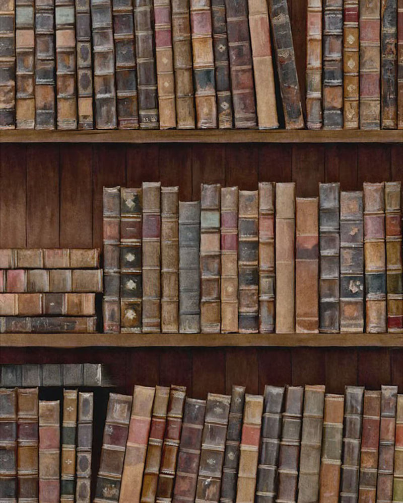 Book Shelves Wallpaper by Mind the Gap