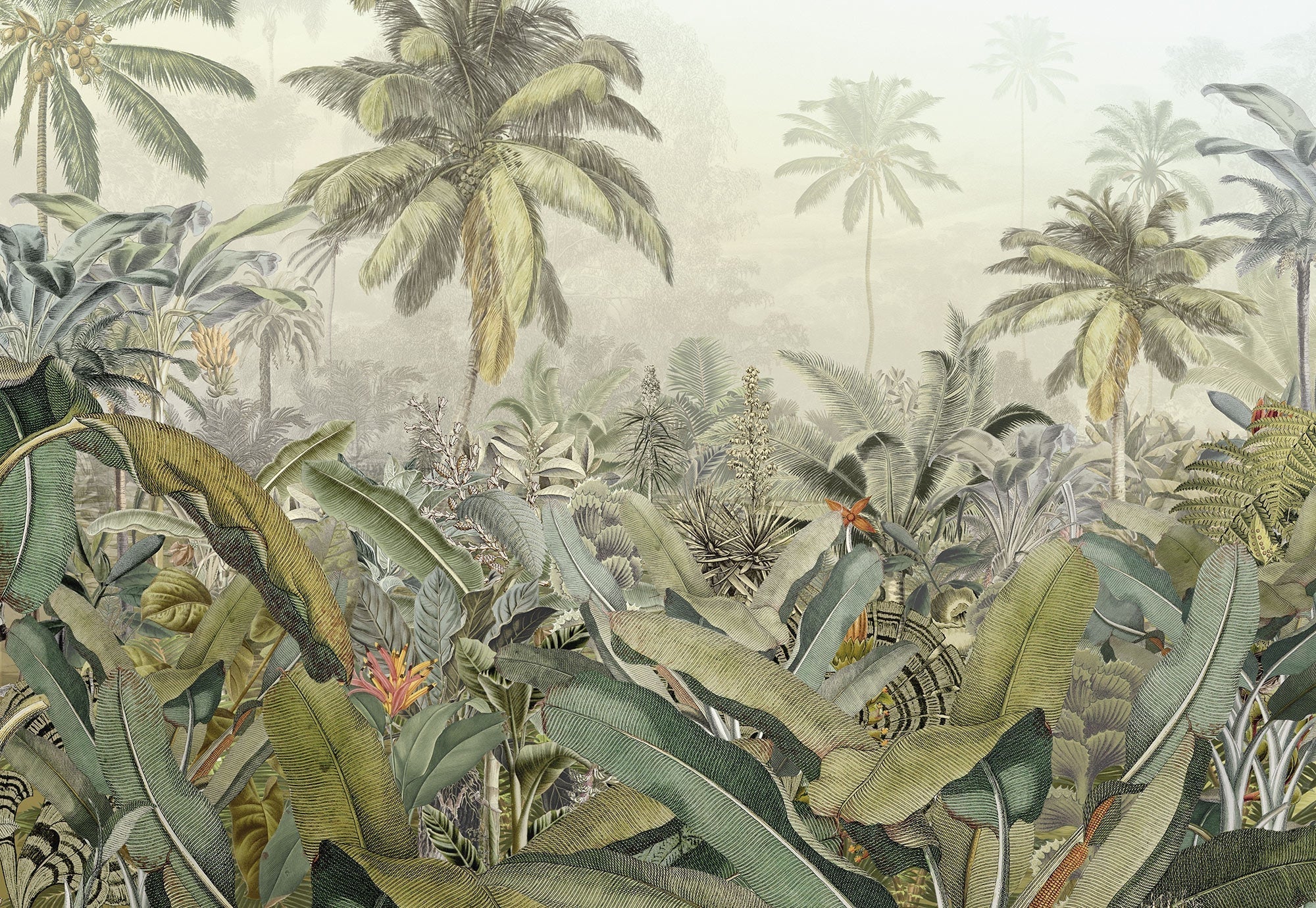 Amazonia Jungle Mural